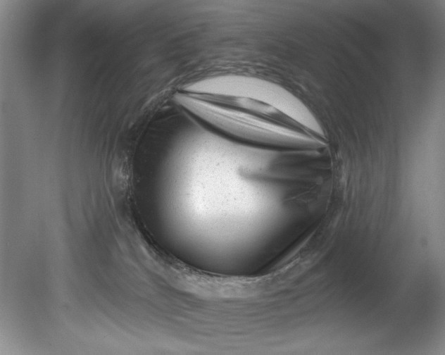 X0000080740040200701021158