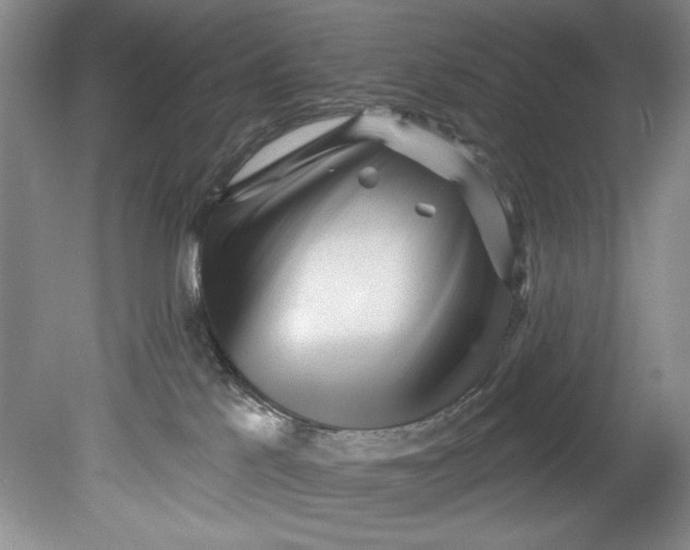 X0000080740041200701021158