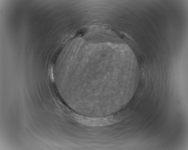 X0000080740042200701021158