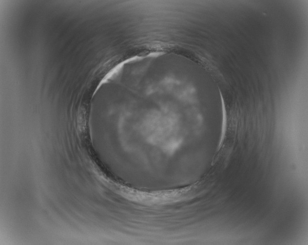 X0000080740043200701021158