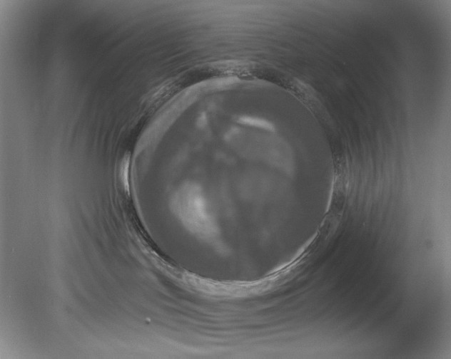 X0000080740047200701021158