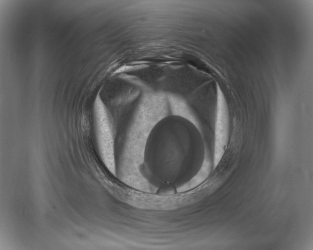 X0000080740048200701021158