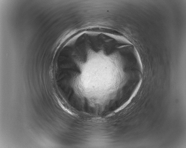 X0000080740050200701021157