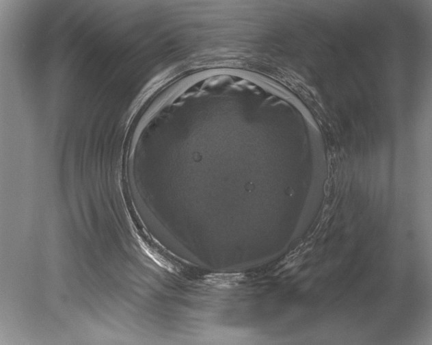 X0000080740051200701021157