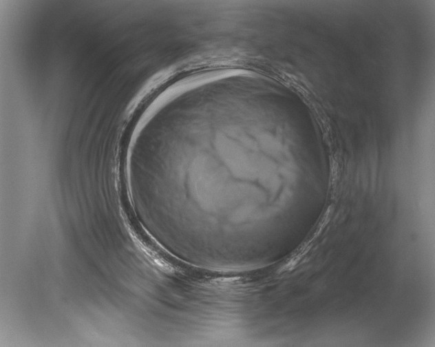 X0000080740054200701021157