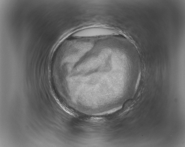 X0000080740055200701021157