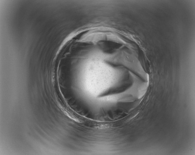 X0000080740056200701021157