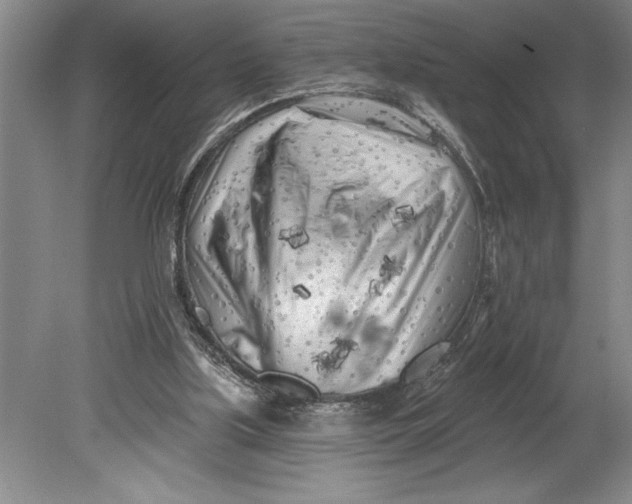 X0000080740059200701021157