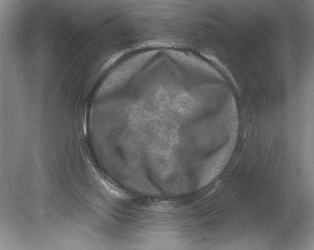 X0000080740062200701021157