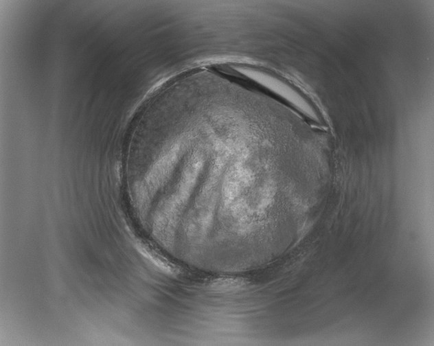 X0000080740063200701021157