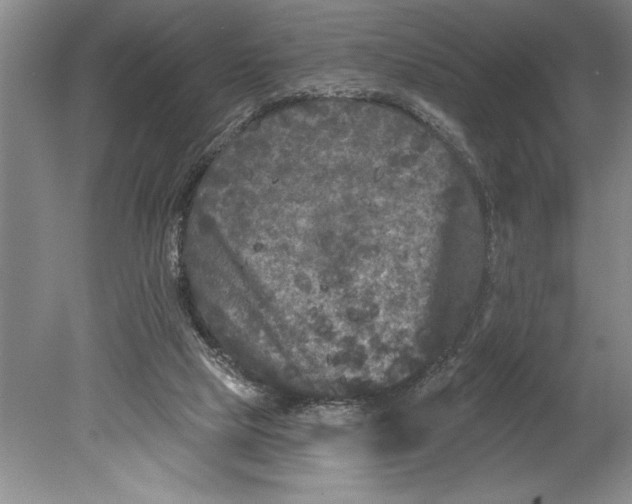 X0000080740065200701021157