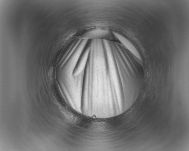 X0000080740066200701021157