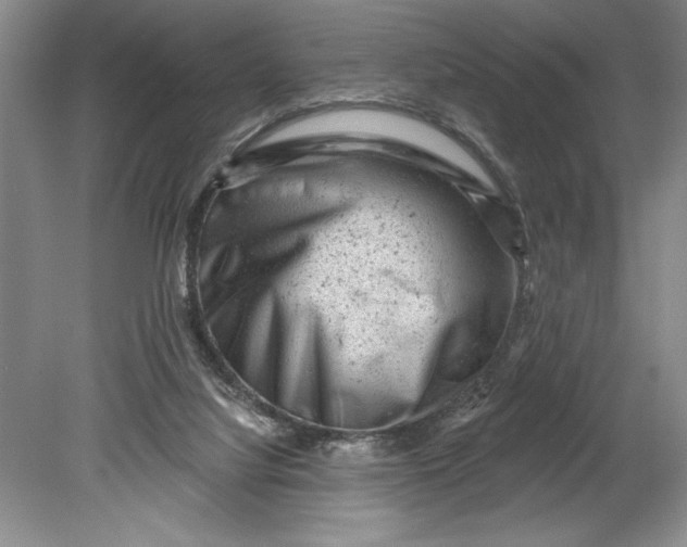 X0000080740068200701021157