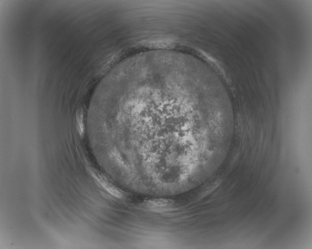 X0000080740069200701021157