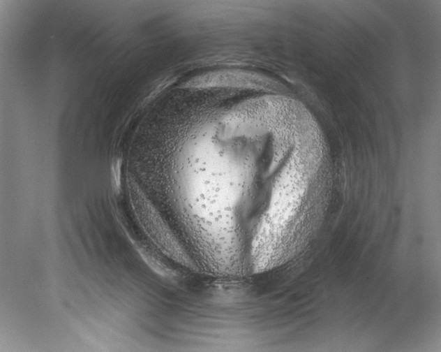 X0000080740070200701021157