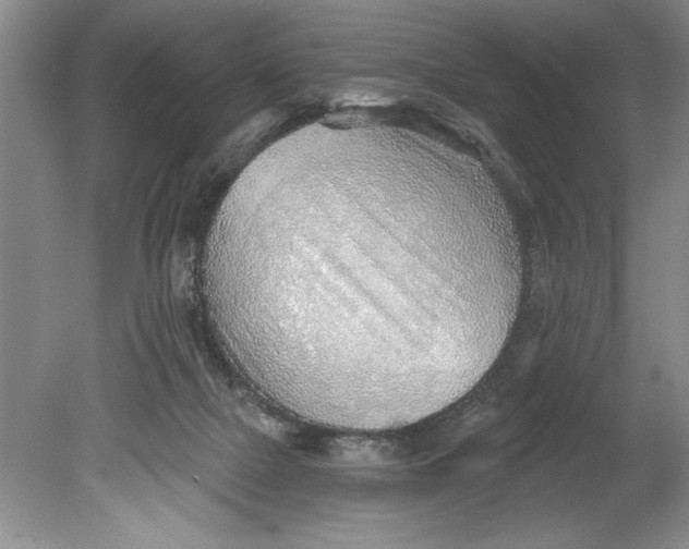 X0000080740073200701021157