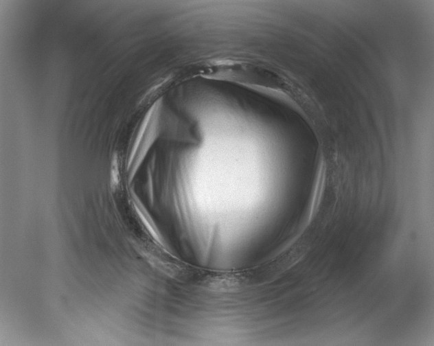 X0000080740075200701021157