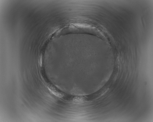 X0000080740076200701021157