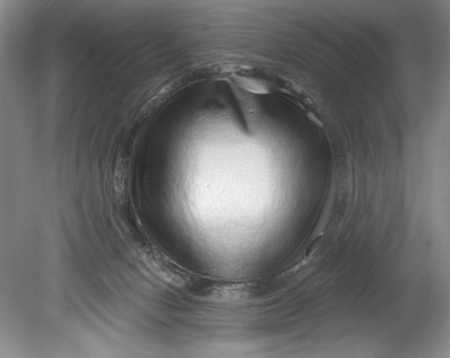 X0000080740078200701021158