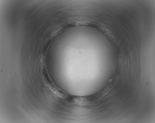 X0000080740079200701021158