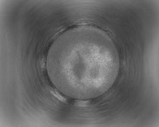 X0000080740081200701021158