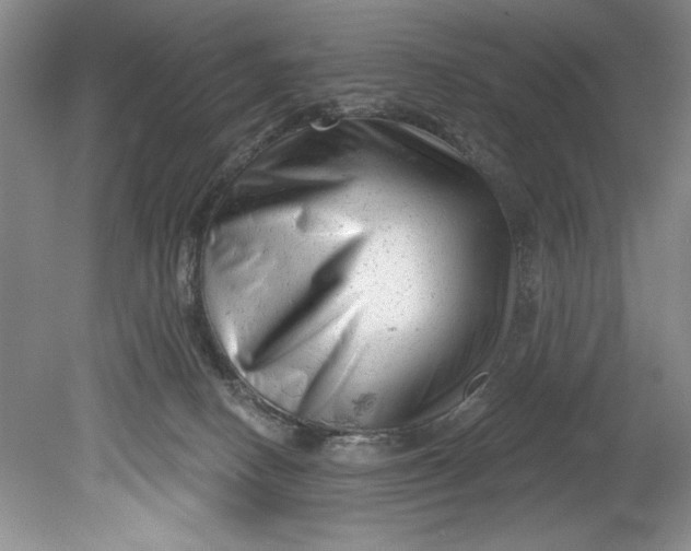 X0000080740082200701021158