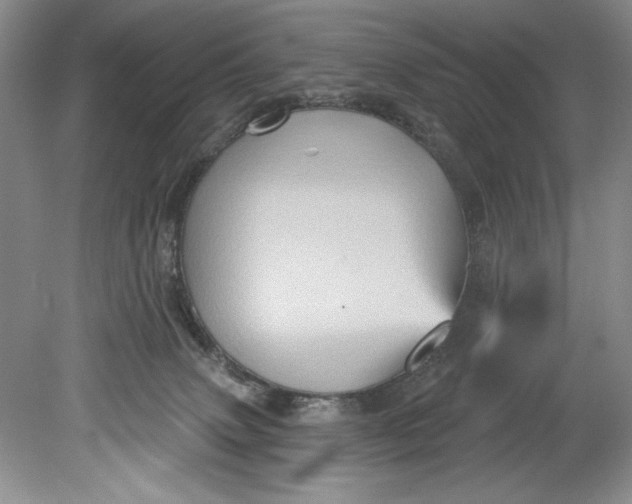 X0000080740083200701021158