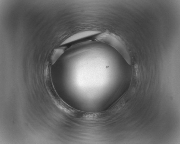 X0000080740084200701021158