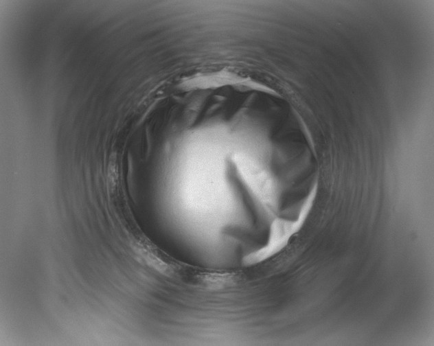 X0000080740085200701021158