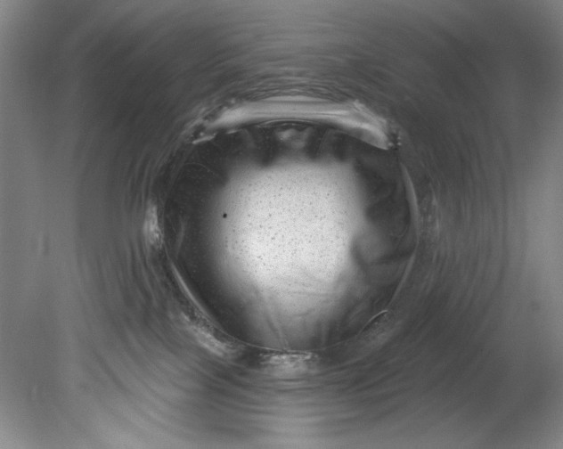 X0000080740089200701021158