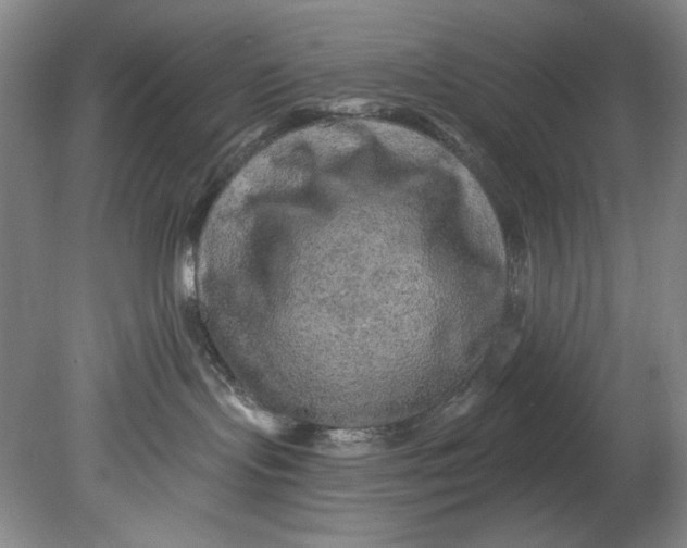 X0000080740095200701021158