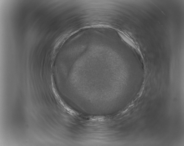 X0000080740097200701021157