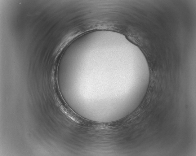 X0000080740098200701021157