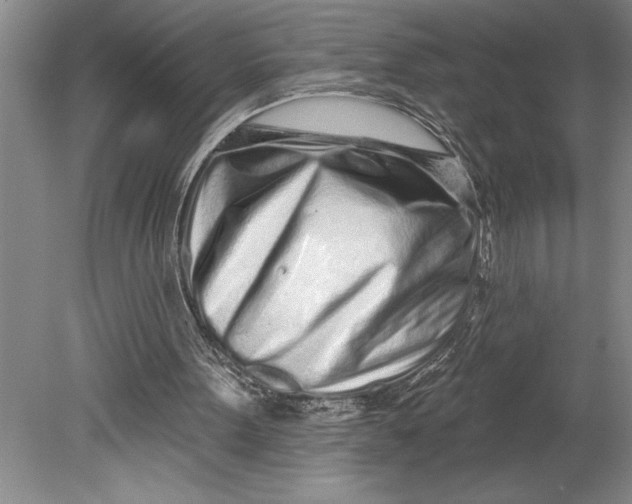 X0000080740099200701021157