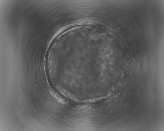 X0000080740100200701021157