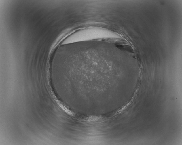 X0000080740101200701021157