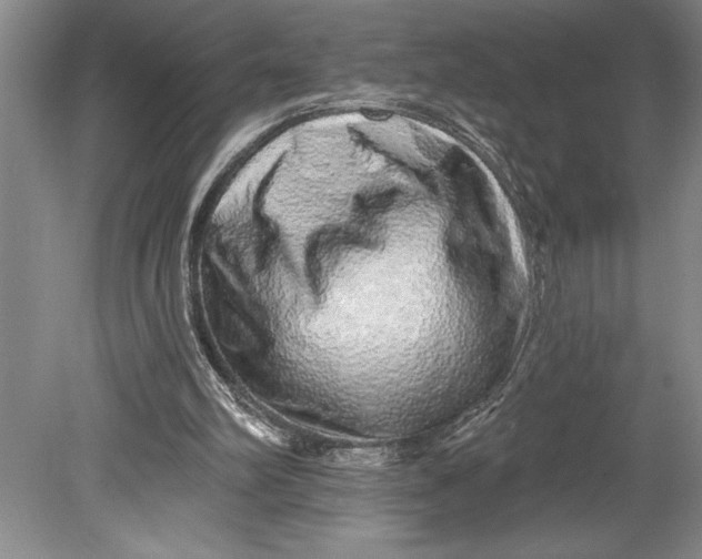 X0000080740102200701021157