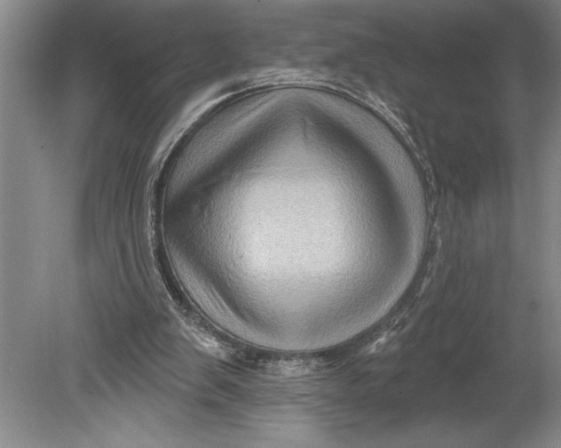 X0000080740103200701021157