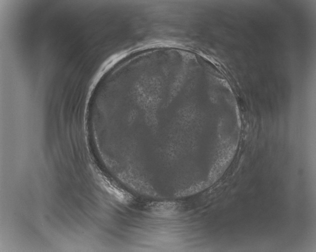 X0000080740104200701021157