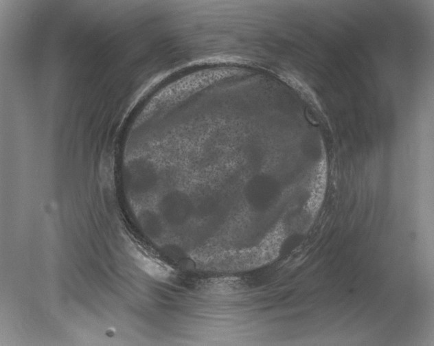 X0000080740108200701021157