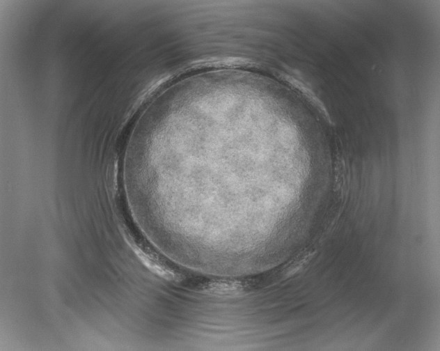 X0000080740110200701021157