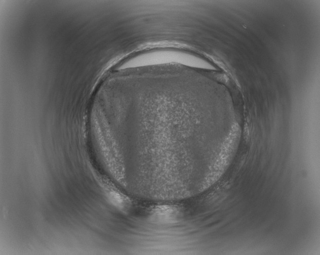 X0000080740111200701021157