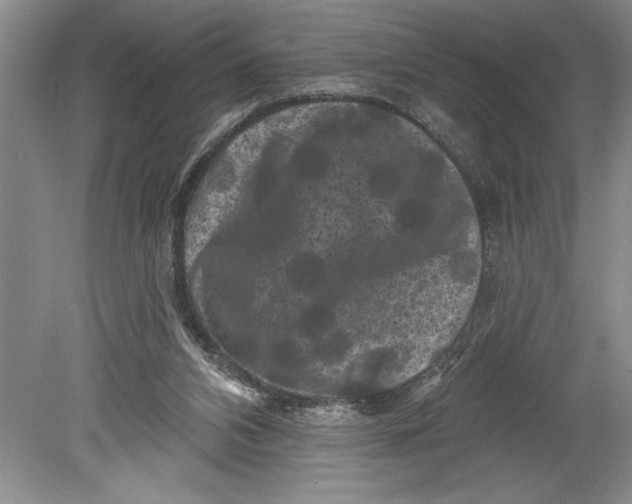 X0000080740112200701021157