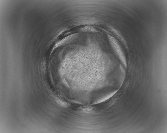 X0000080740113200701021157