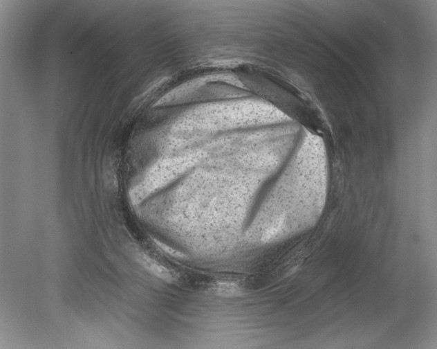 X0000080740114200701021157