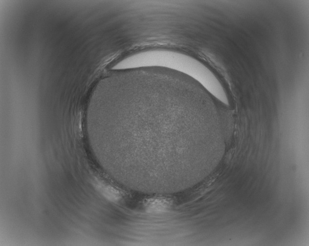 X0000080740115200701021157