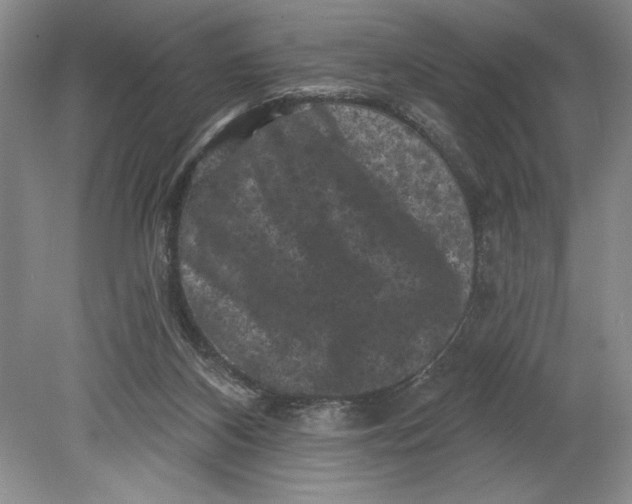 X0000080740116200701021157