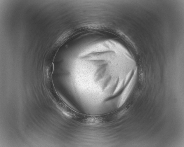 X0000080740117200701021157