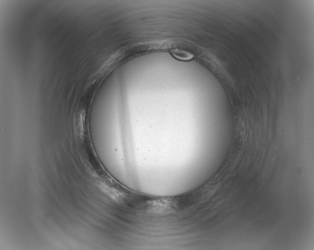 X0000080740118200701021157