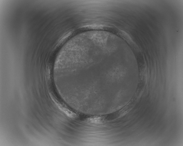 X0000080740120200701021157